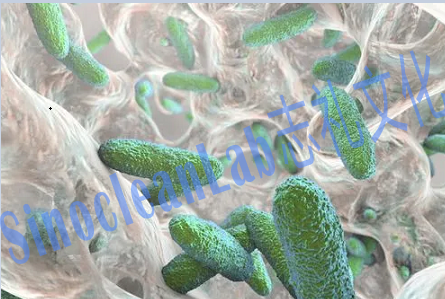 生物膜的屏障技术解决方案 | 俄罗斯清洁展